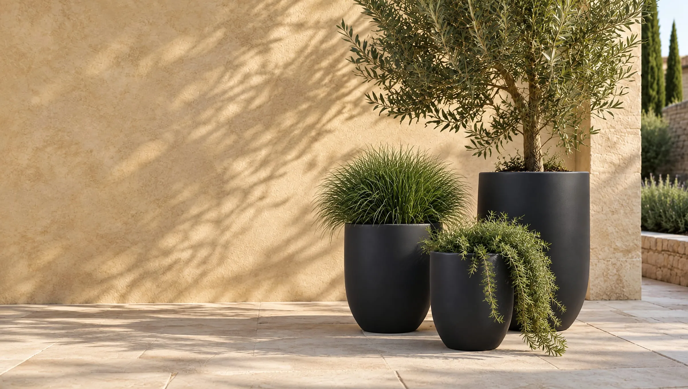 Havana pots in Charcoal with an olive tree in a sunny courtyard